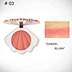 Blusher palette